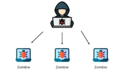 BOTNET LESSON 2023