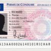 Driver License - France