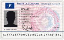 Driver License - France