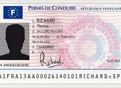 Driver License - France