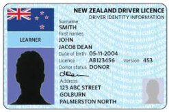 Driver License - New Zealand