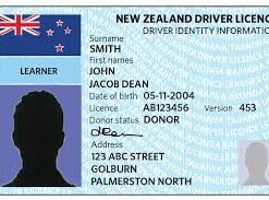 Driver License - New Zealand