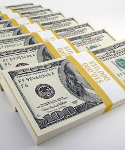 $10,000 USD Bank Transfer Hack