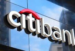 CITI BANK - Bank Log
