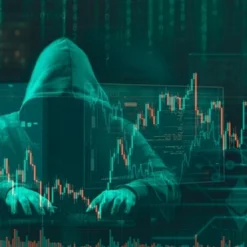 Cryptocurrency Stealer Software