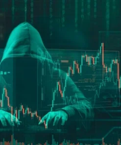 Cryptocurrency Stealer Software