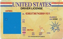 Driving License - USA (All States)