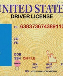 Driving License - USA (All States)