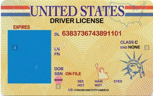 Driving License - USA (All States)