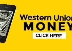 Western Union Transfer